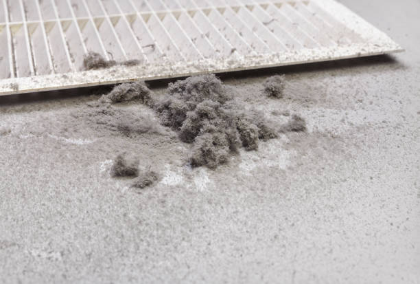 Best Affordable Air Duct Cleaning  in Russiaville, IN