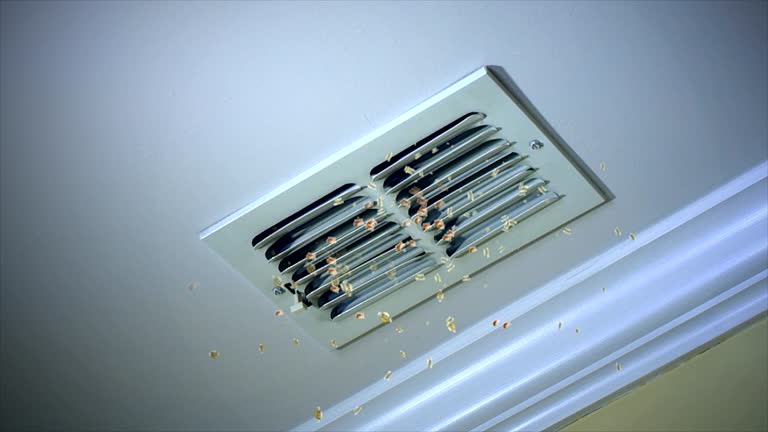 Best Emergency Air Duct Cleaning  in Russiaville, IN
